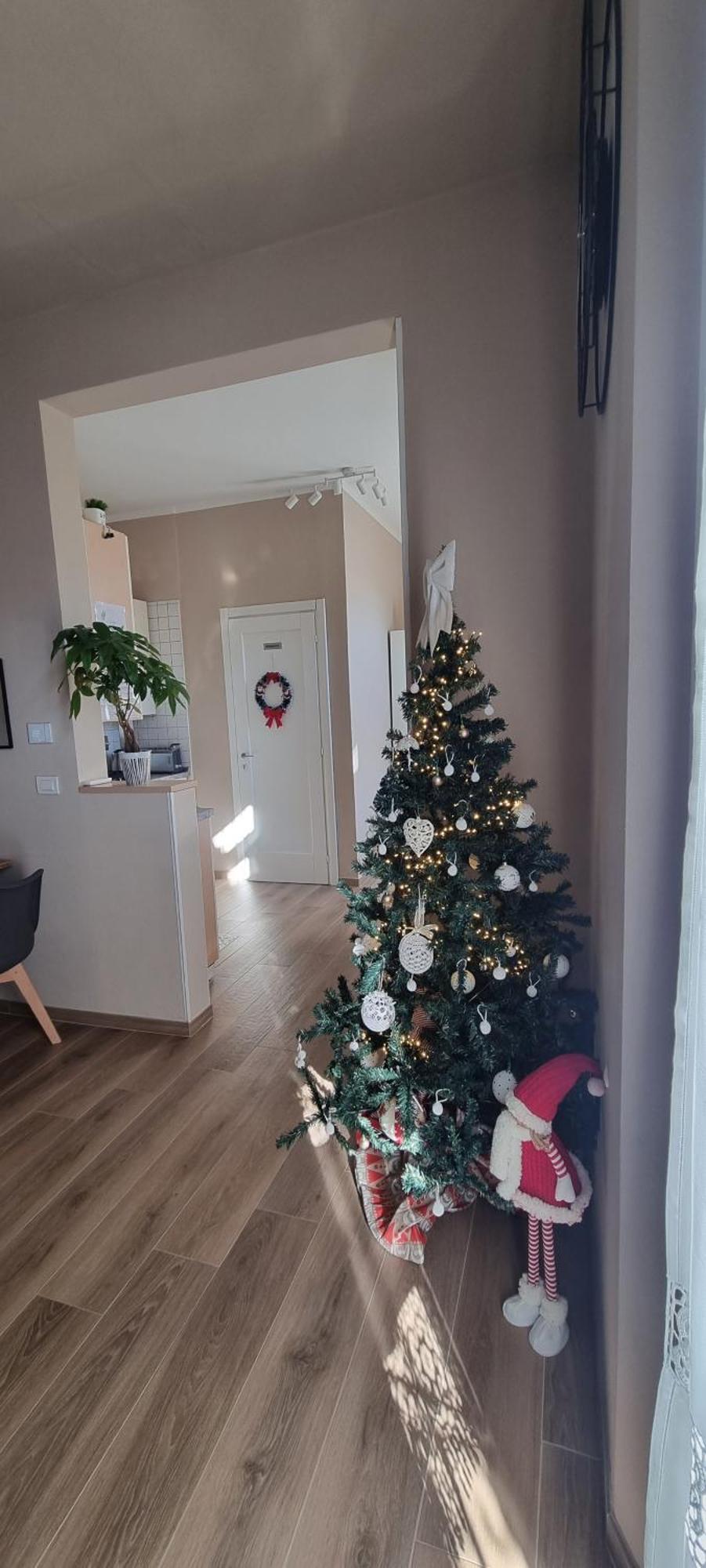 Alemanni54 - Apartment Болонья Екстер'єр фото